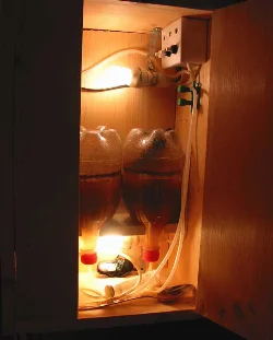 artemia-klaekkeapperat-deluxe