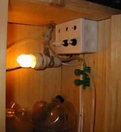 artemia-klaekkeapperat-deluxe