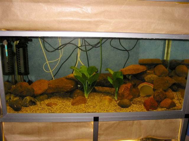153 Liter Aquarium