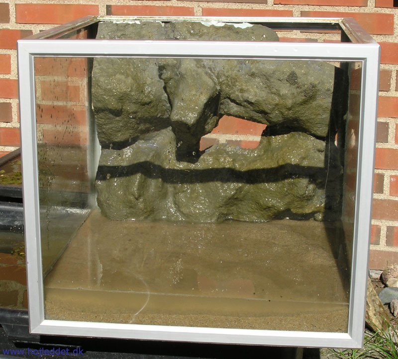 Monteret i et 75 liters akvarium. Det er vigtigt at udvaske cementrester grundigt.