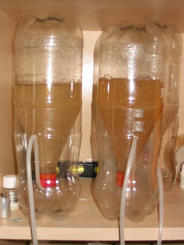 En klækkecentral med to flasker sikrer daglig forsyning af nauplier.