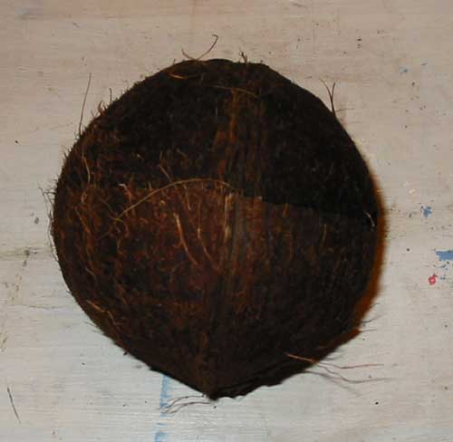 Begin with a whole and fresh coconut.