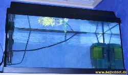 My 'starter set' without fish – at this stage, the inhabitants had not yet been decided