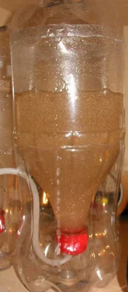 Klækkeapperat for levende [*Artemia salina*](/da/artemia-salina) nauplier i fuld drift.