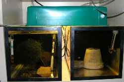 Det færdige resultat.