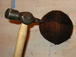 Use a hammer or the dull edge of a knife to crack the shell by hitting multiple times in a line.