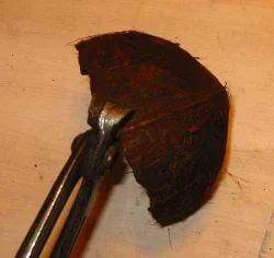 If the entrance is too small, a piece of the shell can be broken off with a side cutter.