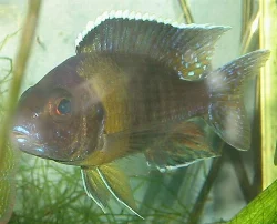 This picture could have been good if it wasn't for the reflections in the glass.
