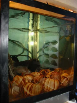 12 liters akvarium, sort plastkant (bagerst)