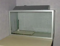 53-liter aquarium