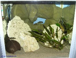 Homemade PU foam background