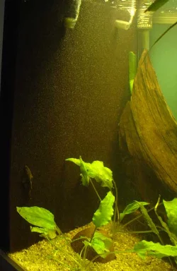 HMF filter made of black filter mat